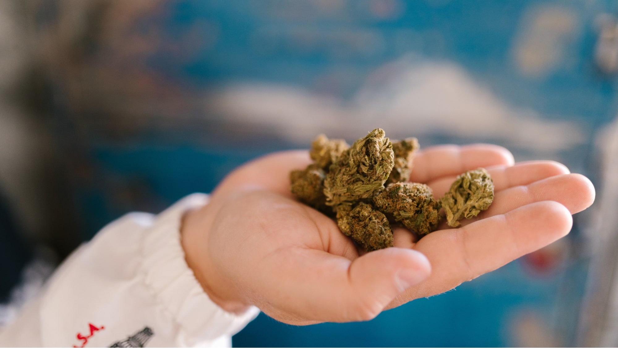 Person with cannabis flower from NJ dispensary in the palm of their hand