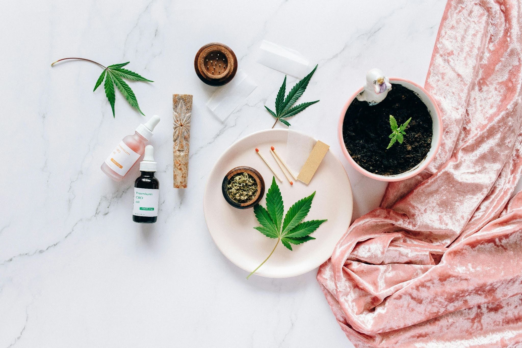 A table with cannabis leaves and flower, a plant, crusher, chillum, cannabis oils along with matchsticks and papers. Source - Pexels